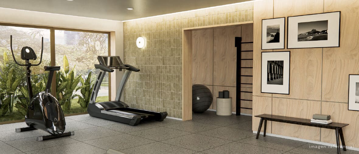 ZONA GIMNASIO 1
