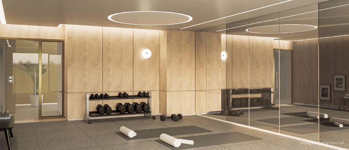 ZONA GIMNASIO 2